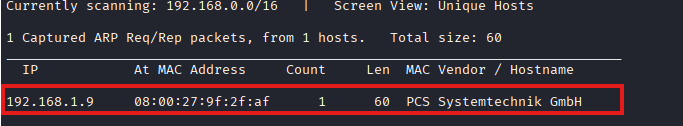 Netdiscover Output