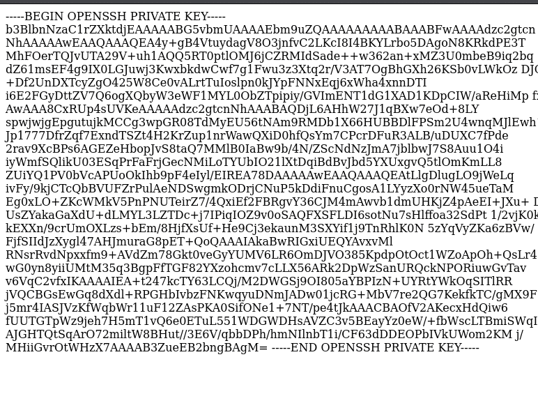 RSA Key in Browser
